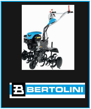 Logo bertolini1